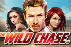 Play in Tthe Wild Chase
