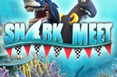 Play in Shark Meet