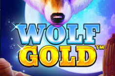 Play in Wolf Gold